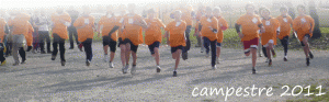 campestre_sfondo