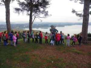 Il lago di Pusiano visto dall'alto