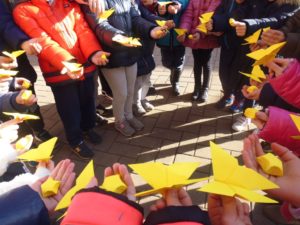 Ancora farfalle e stelle