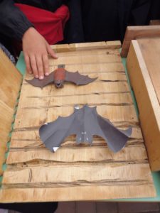 L'interno della bat-box