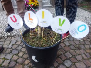 Le lettere dell'ulivo