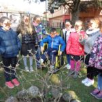 Aspettiamo che spuntino i fiori