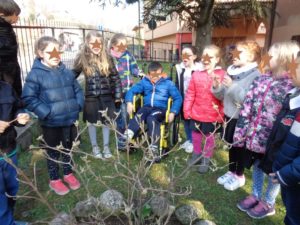 Aspettiamo che spuntino i fiori