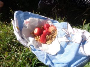 Merenda primitiva