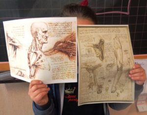 Gli studi di anatomia