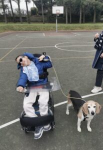 un bambino sorridente in carrozzina tiene un cane al guinzaglio