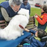 una bambina in carrozzina accarezza un cane bianco