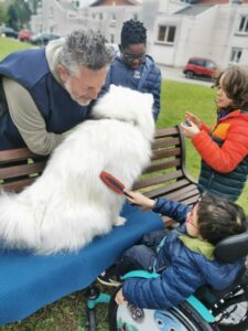 una bambina in carrozzina accarezza un cane bianco